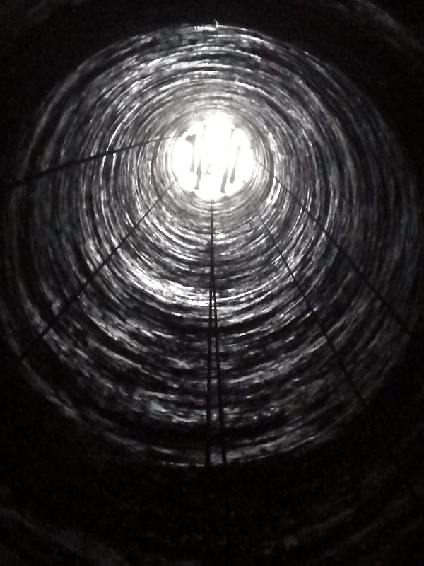 IMG_20170612_054048.jpg IMG_20170612_054048.jpg